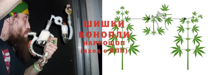 Марихуана SATIVA & INDICA  Подпорожье 